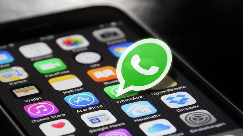 WhatsApp hadirkan ikon adaptif via update beta