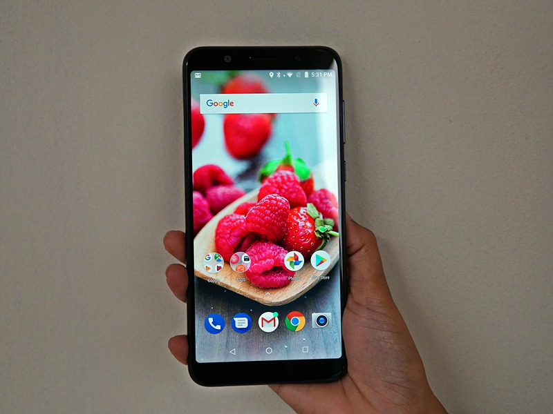 Asus kantongi 2 sertifikat TKDN ponsel baru, meluncur tahun ini?