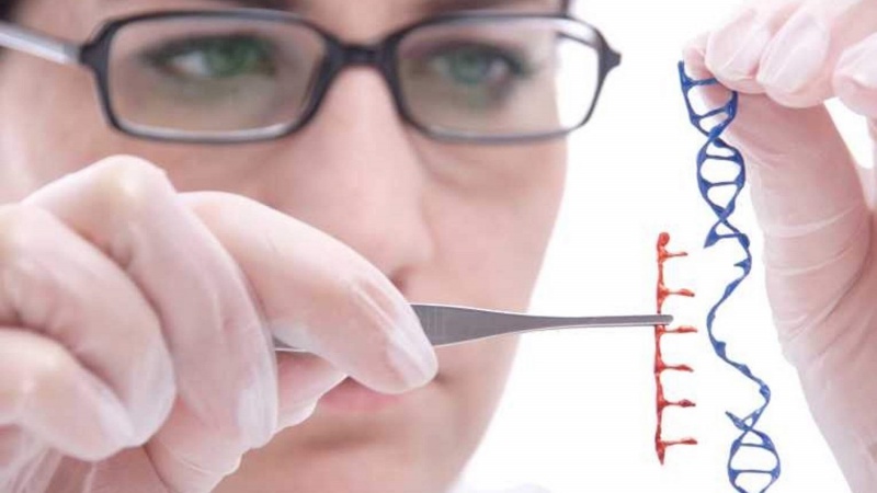 Baik buruk modifikasi genetika yang dilakukan He Jiankui