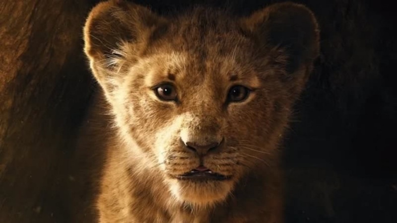 Daftar film yang akan tayang di tahun 2019