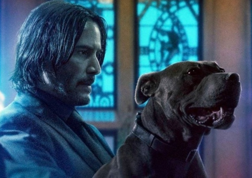 John Wick 4 rencananya tayang 2021 mendatang