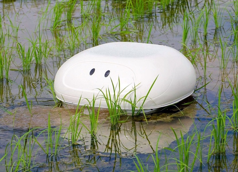 Nissan uji coba robot bebek yang bisa berkeliaran di sawah