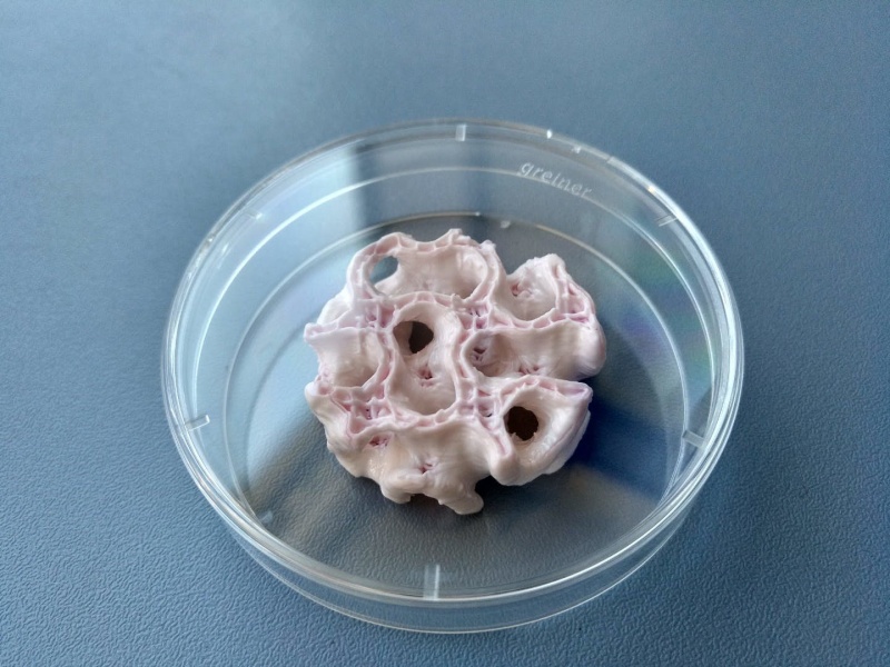 Teknologi 3D printing bisa cetak kulit dan tulang di luar angkasa