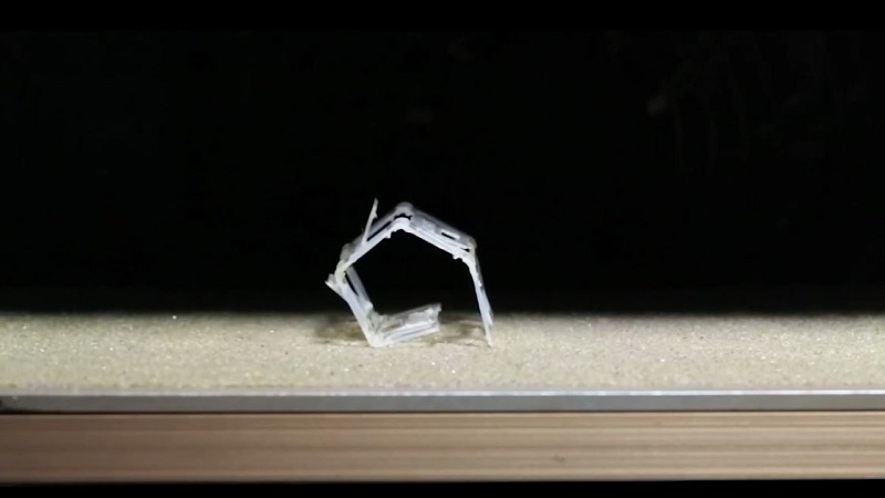 Robot ini berbentuk lunak dan responsif terhadap suhu