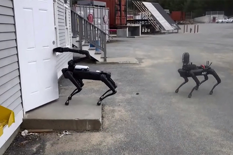 Polisi di Massachusetts manfaatkan robot anjing