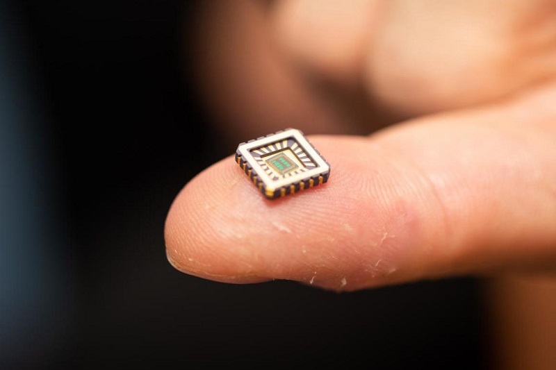 Ilmuwan ciptakan jaringan saraf tiruan mirip aslinya