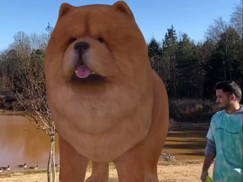 Google Search tambahkan 50 hewan baru dalam bentuk AR