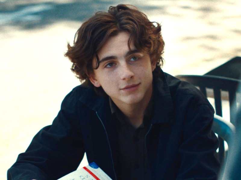 Timothee Chalamet bakal main prekuel Willy Wonka