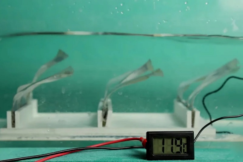 Pembangkit listrik ini terispirasi dari rumput laut