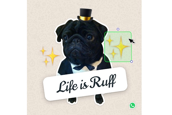 Cara buat stiker di WhatsApp PC/Mac