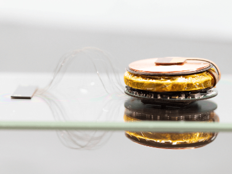 Elon Musk bakal uji coba Neuralink pada manusia tahun depan