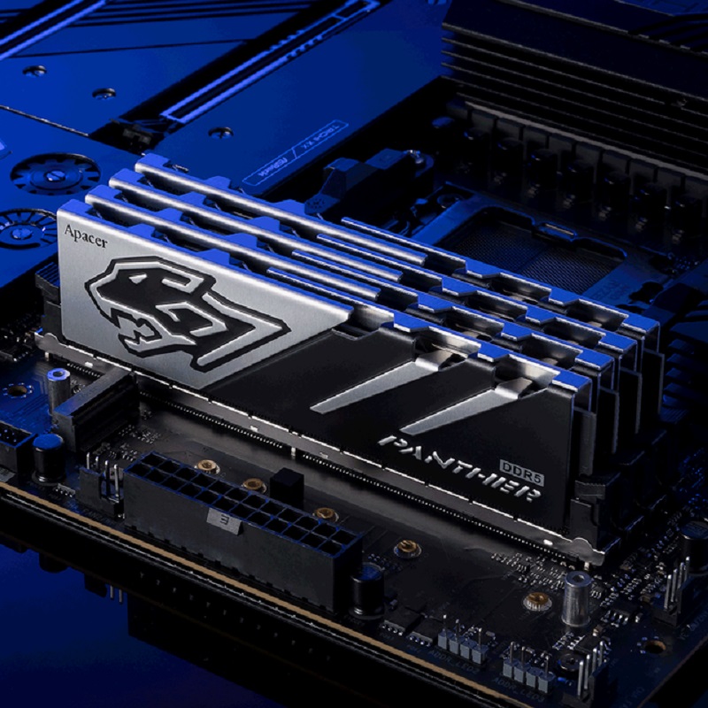 Apacer Panther DDR5 dengan RGB hadir di Indonesia