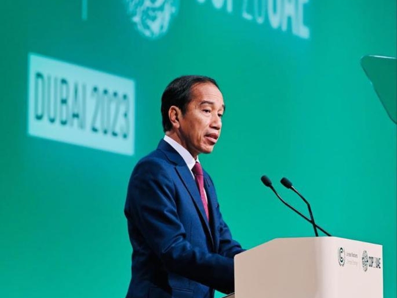 Kemajuan Aksi Perubahan Iklim Indonesia: Leading by Examples