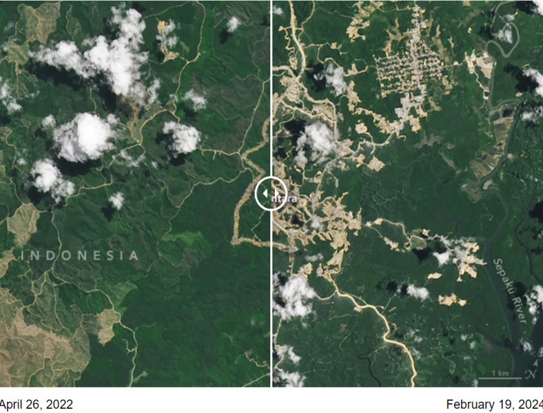 NASA rilis perubahan signifikan di kawasan IKN