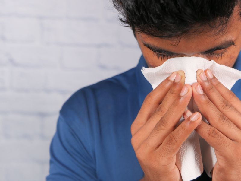 3 fakta wabah flu burung H5N1 kini menjangkiti sapi dan manusia di Amerika Serikat