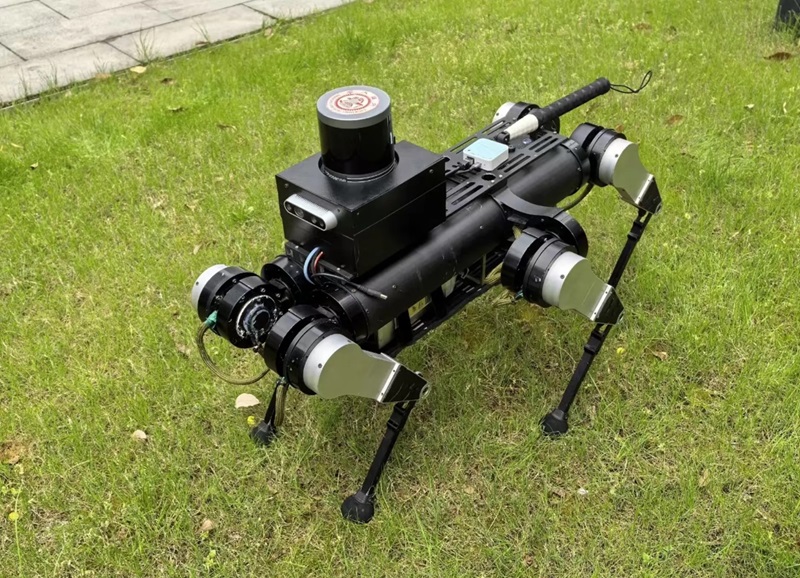 Ilmuwan Tiongkok ciptakan robot anjing untuk tunanetra