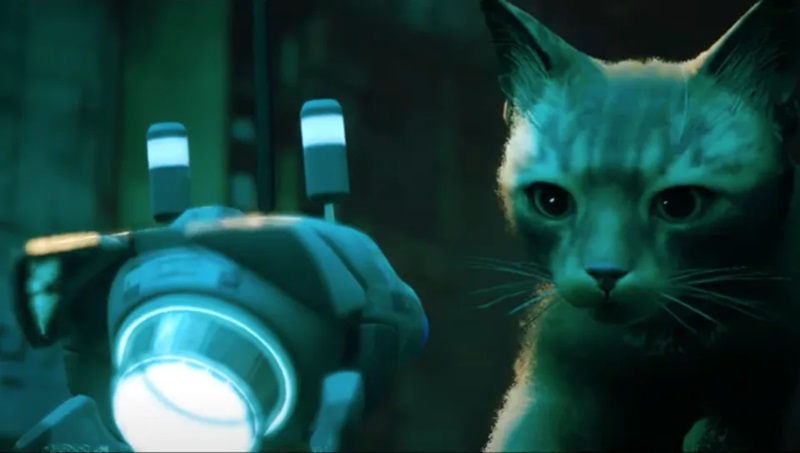 Stray, game simulasi kucing, hadir di Switch 19 November