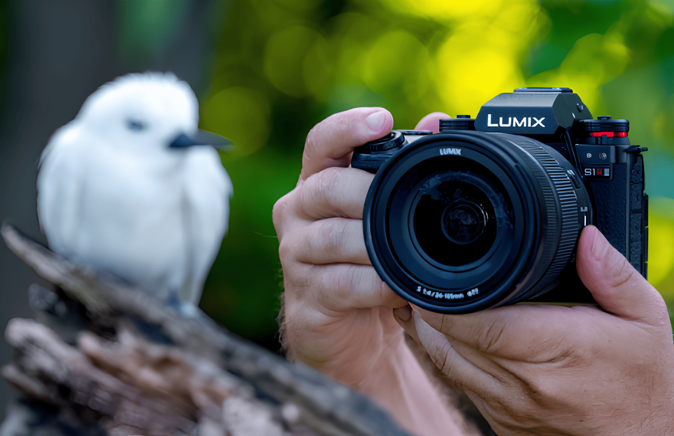 Panasonic Lumix S1RII siap rekam video 8K