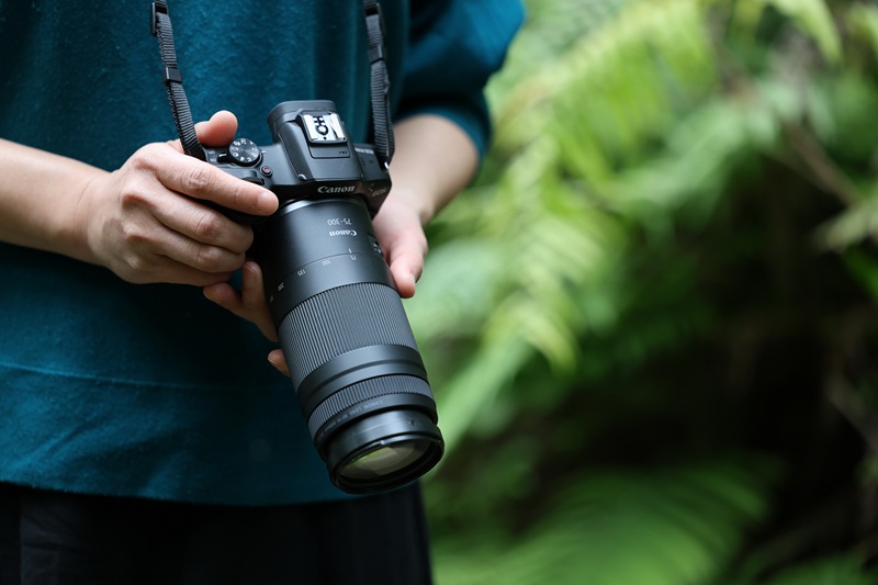 Canon RF75-300mm: Lensa telefoto pemula, harga 3 jutaan