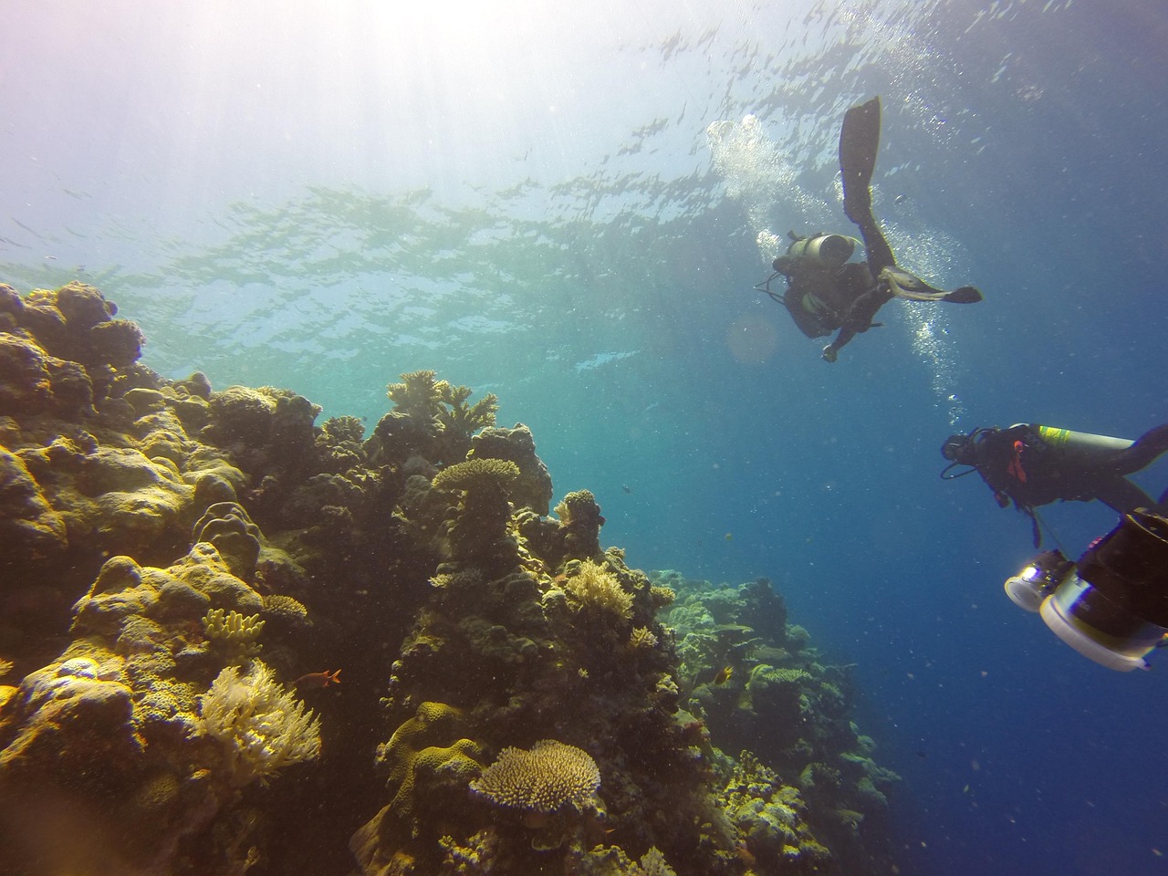 FCC siap blokir teknologi Tiongkok dari kabel bawah laut AS, voting 7 Agustus