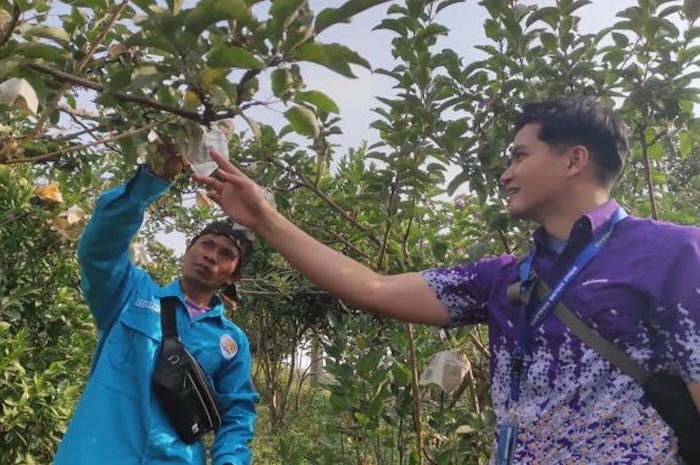 Binus University Ciptakan Aplikasi AI “ManalagiCare”, Bantu Petani Atasi Hama dan Penyakit Apel