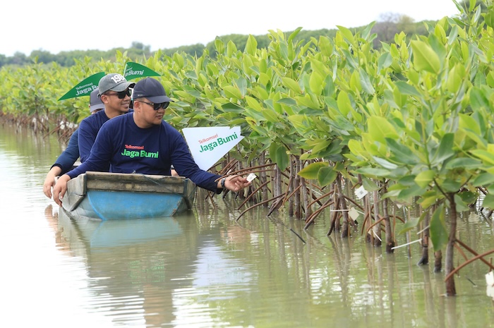 Telkomsel Libatkan 47 Ribu Pelanggan Kurangi Emisi, Tanam 12.731 Pohon di 8 Wilayah Indonesia