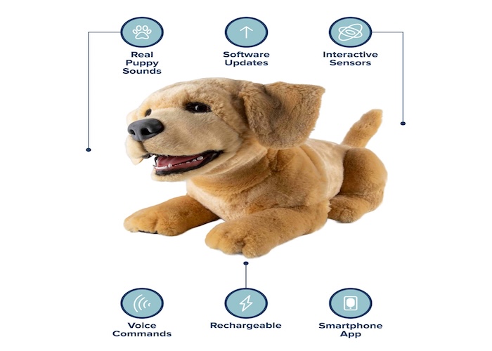 Tidak Mau Repot Urus Hewan Peliharaan? Robot Anjing Ini Bisa Jadi Solusi