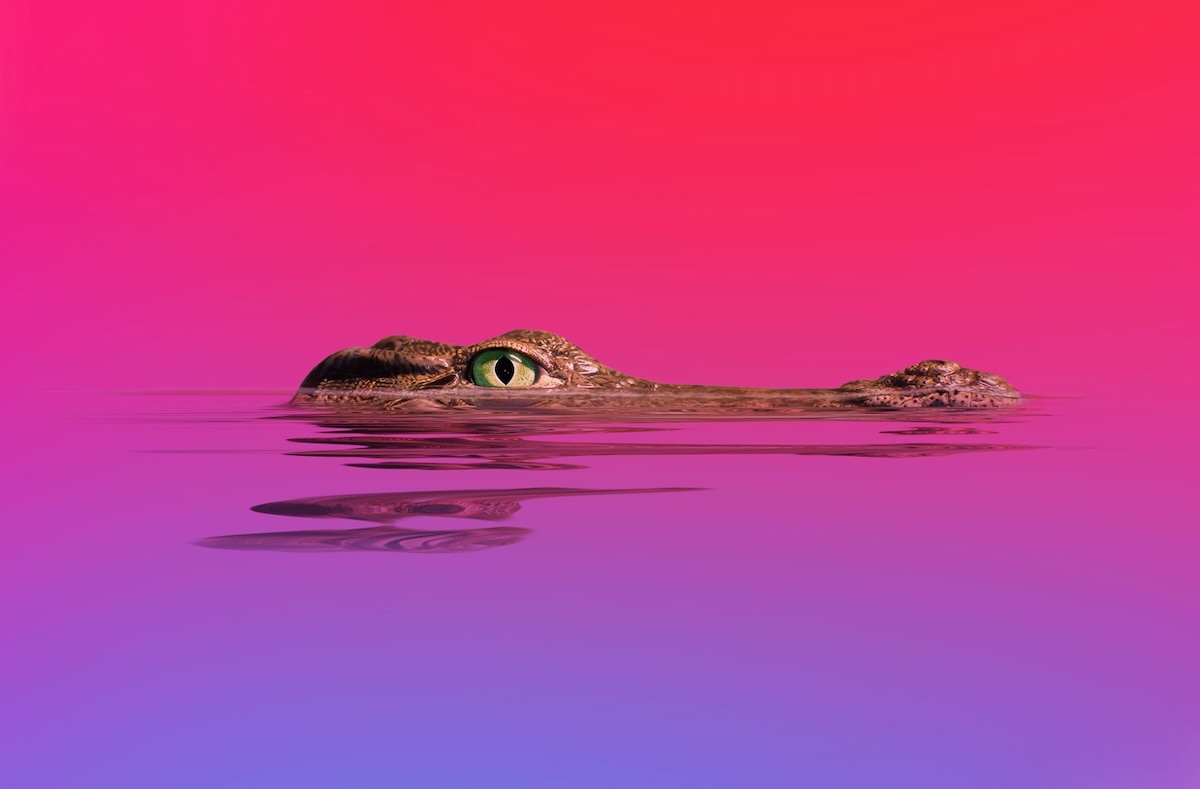 Kaspersky Ungkap Modus Baru Serang Developer, Malware Menyamar sebagai Tools AI